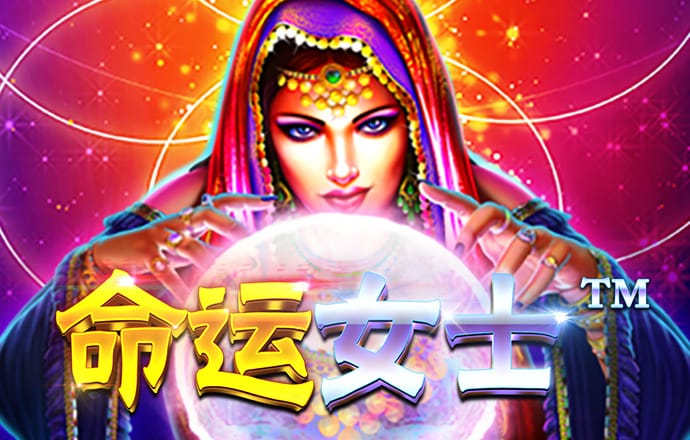 42982金牛网下载